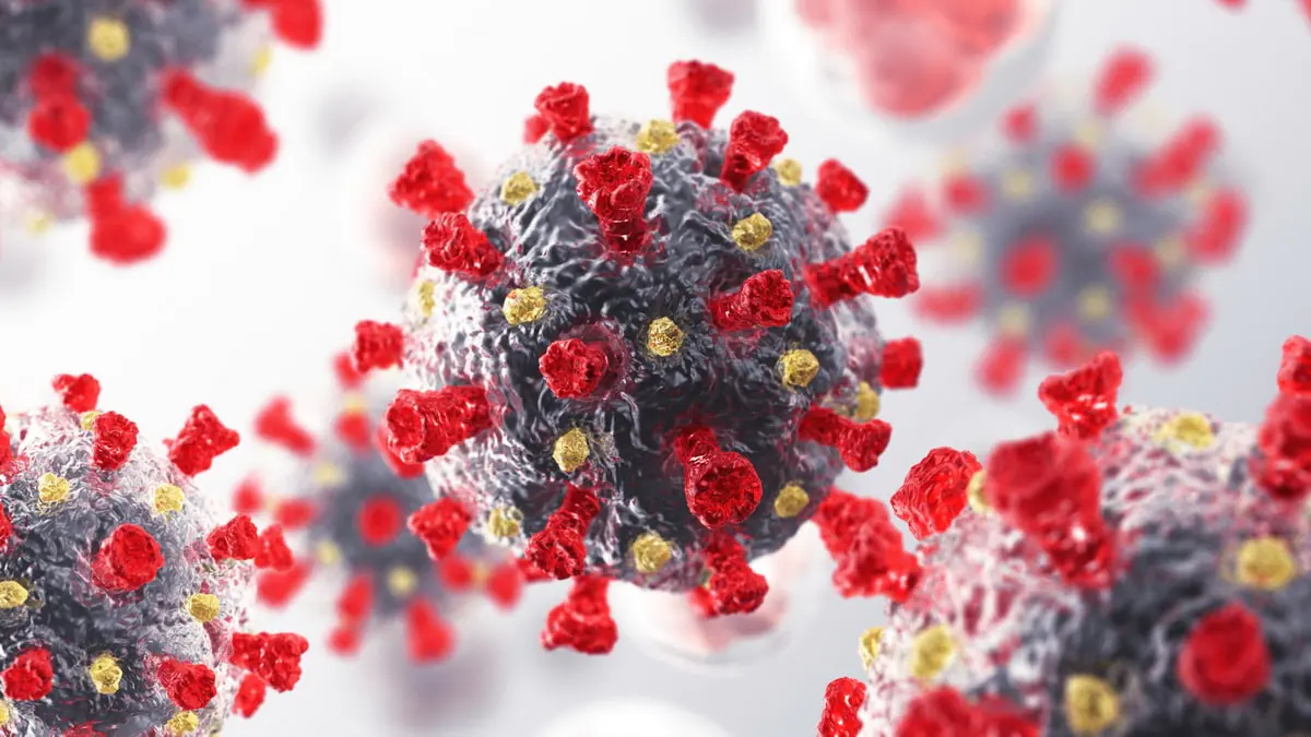 koronavirus-covid-19.jpg