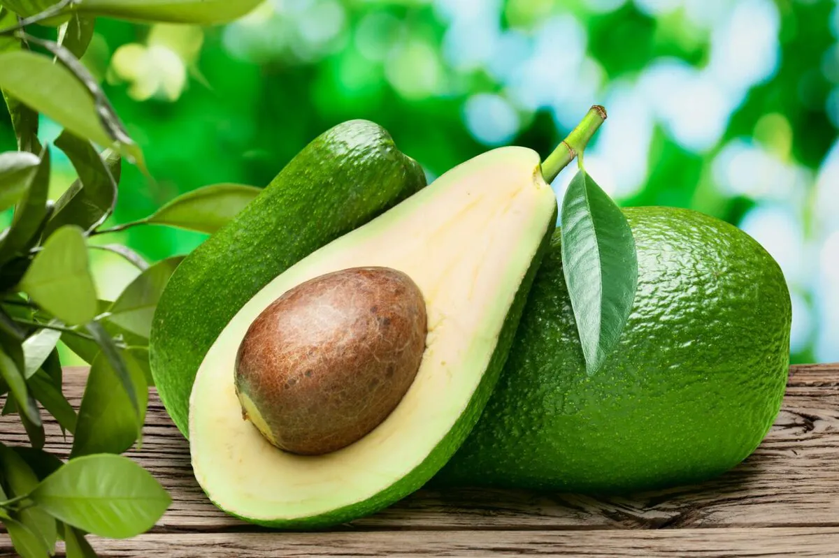 avokado.jpg