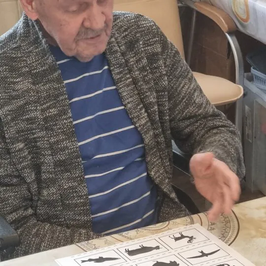 Пансионат для престарелых «Бабушки и Дедушки»
